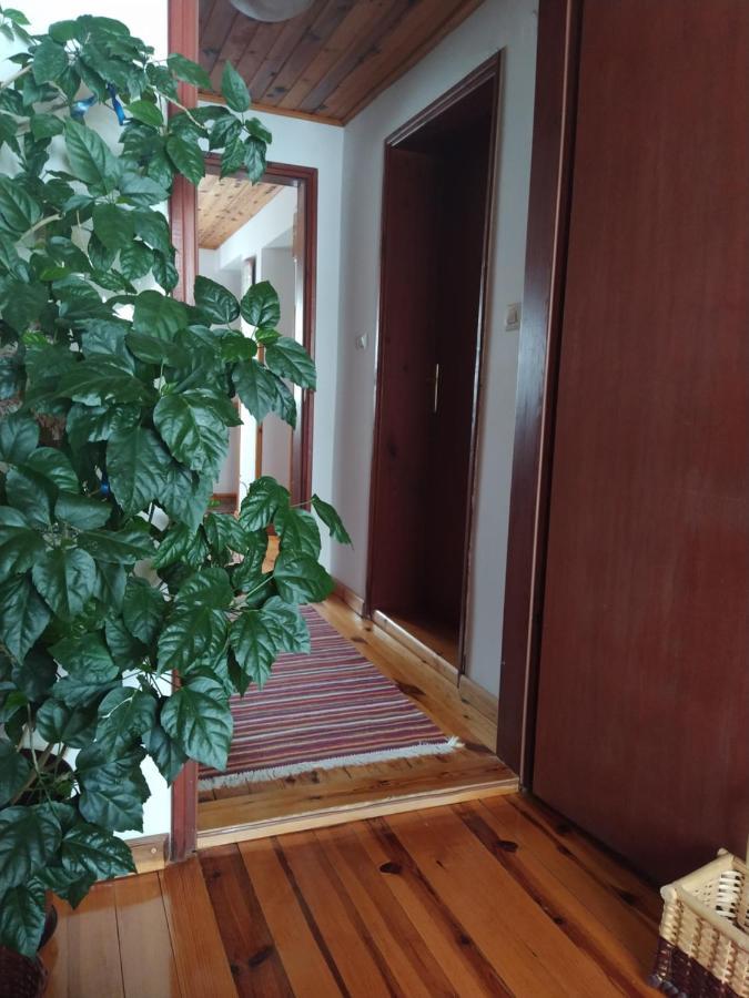 Apartmani Milic Sirogojno Ngoại thất bức ảnh