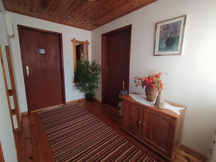 Apartmani Milic Sirogojno Ngoại thất bức ảnh
